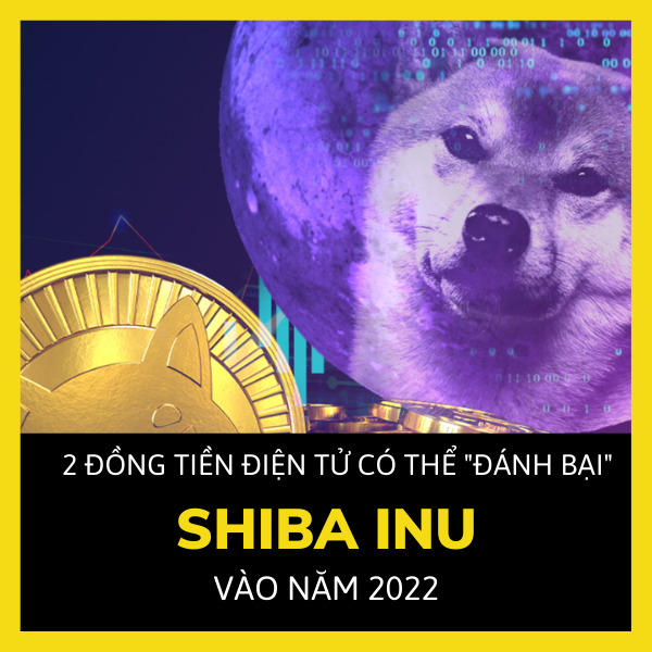 NEAR tăng hơn 63% kể từ mức thấp nhất vào ngày 4 tháng 12 - Top 7 token tăng trưởng cao nhất trong 