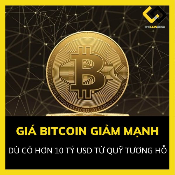 Giá Bitcoin giảm mạnh trở lại dù các quỹ tiền thu hút gần 10 tỷ USD kể từ đầu năm- nhà đầu tư nên kỳ vọng điều gì?