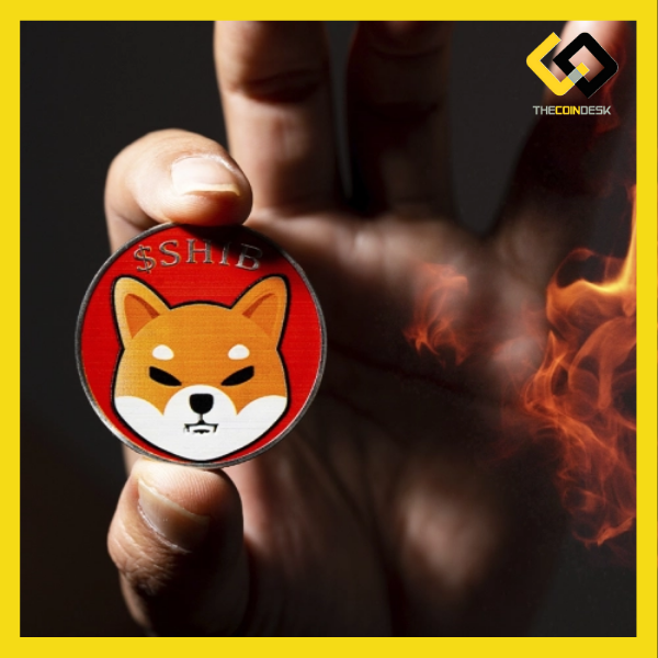 Liệu DOGE có thể trở lại top 10 nhờ tung ra roadmap mới?