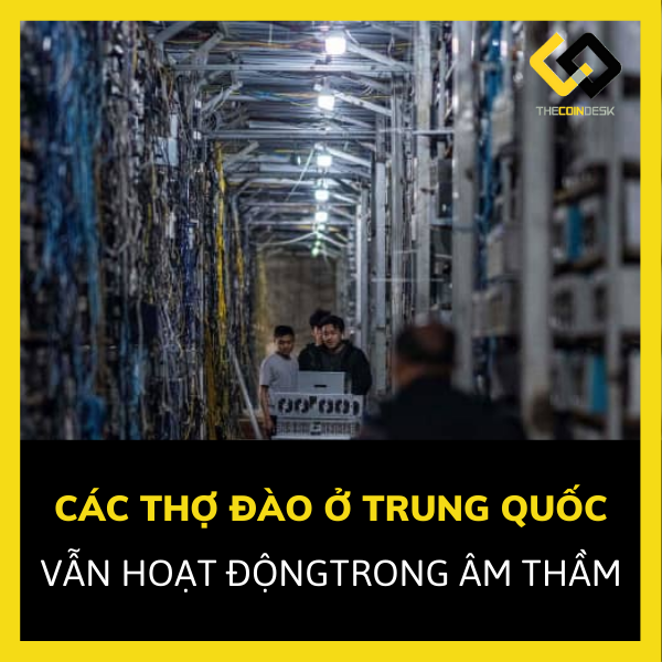Các thợ đào Trung Quốc vẫn tiếp tục hoạt động trong âm thầm