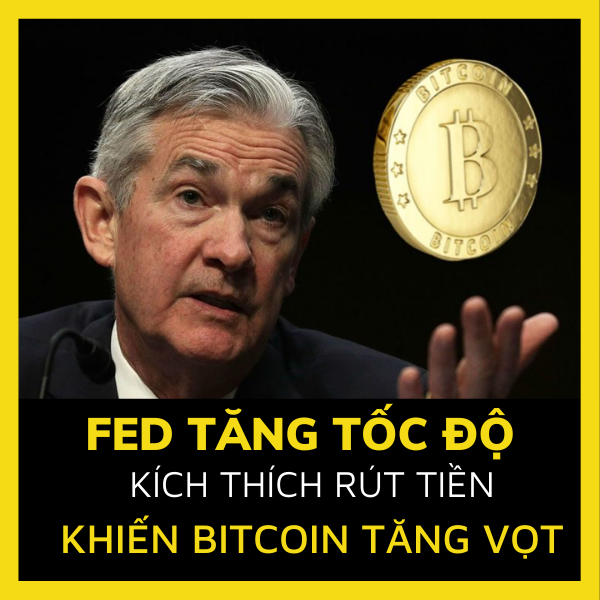 Fed tăng tốc độ kích thích rút tiền khiến Bitcoin tăng vọt
